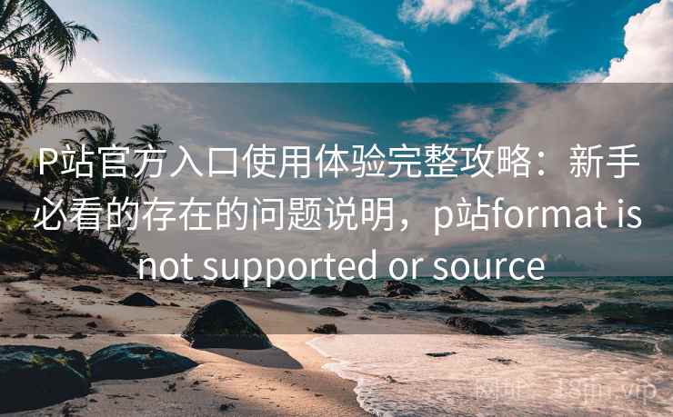 P站官方入口使用体验完整攻略：新手必看的存在的问题说明，p站format is not supported or source