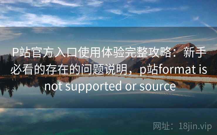 P站官方入口使用体验完整攻略：新手必看的存在的问题说明，p站format is not supported or source