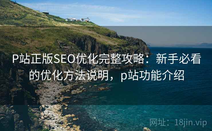P站正版SEO优化完整攻略：新手必看的优化方法说明，p站功能介绍