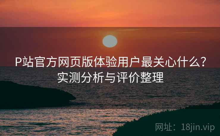 P站官方网页版体验用户最关心什么？实测分析与评价整理