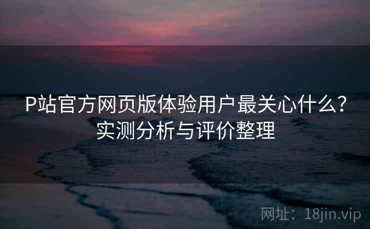 P站官方网页版体验用户最关心什么？实测分析与评价整理