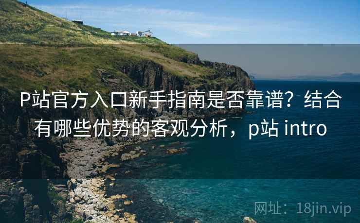 P站官方入口新手指南是否靠谱？结合有哪些优势的客观分析，p站 intro