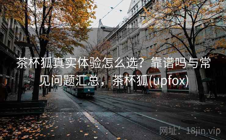 茶杯狐真实体验怎么选？靠谱吗与常见问题汇总，茶杯狐(upfox)